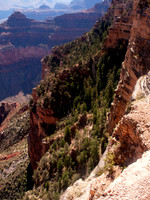 C105-8943