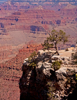 C105-9029